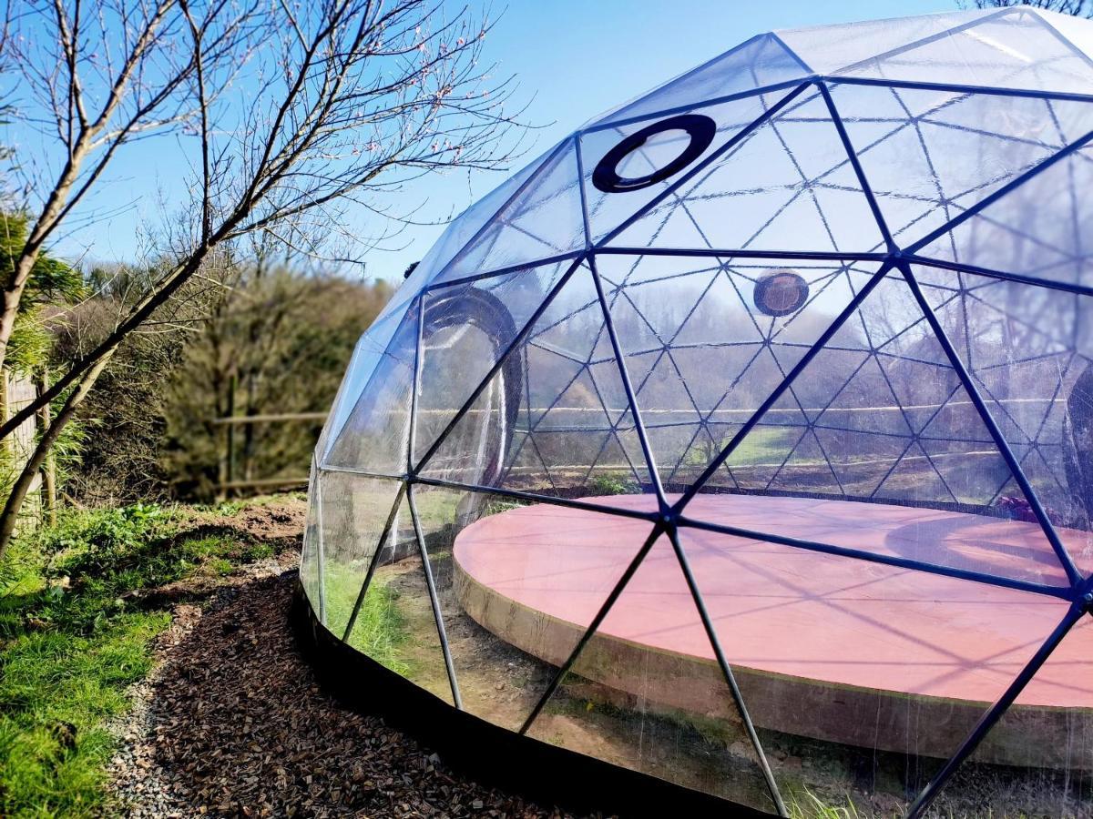 La Tisserande : Maison D'Hotes Creative & Ecologique 圣泰戈内克 外观 照片